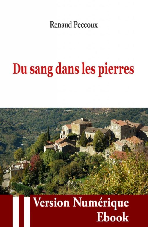 Couverture ebook " Du sang dans les pierres " de Renaud Peccoux