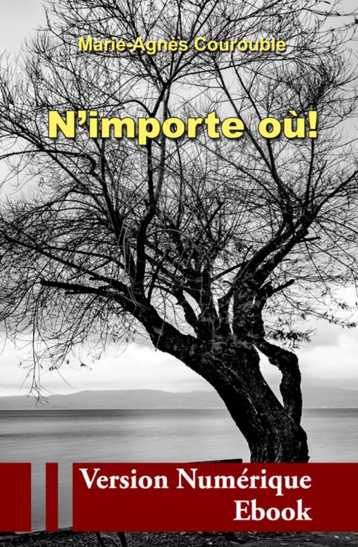 Couverture ebook " N'importe où ! " de Marie-Agnès Courouble